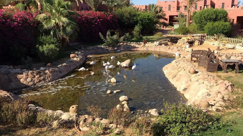 Hauza Beach Hotel and Resort